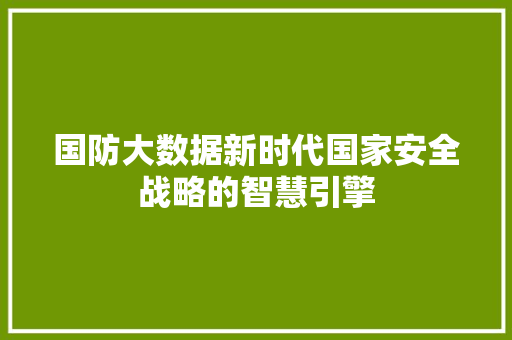 国防大数据新时代国家安全战略的智慧引擎 编程语言