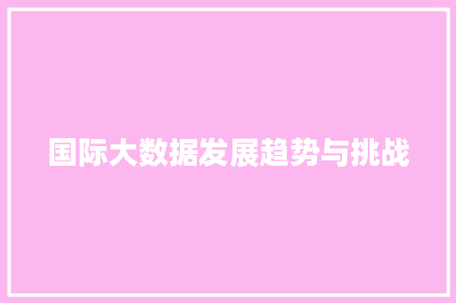 国际大数据发展趋势与挑战 编程语言