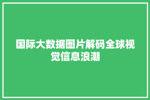 国际大数据图片解码全球视觉信息浪潮 编程语言