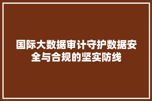 国际大数据审计守护数据安全与合规的坚实防线 编程语言