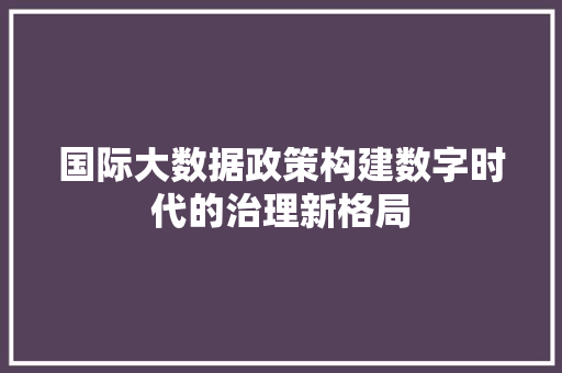 国际大数据政策构建数字时代的治理新格局 电脑故障维修