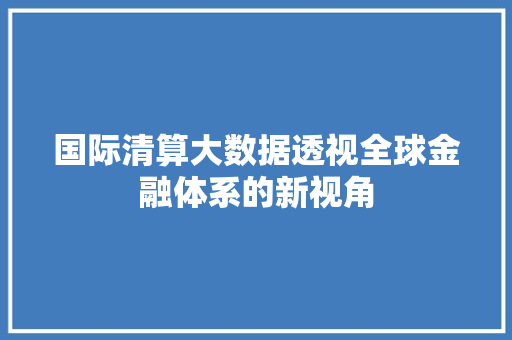 国际清算大数据透视全球金融体系的新视角 电脑基础