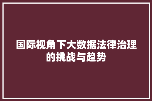 国际视角下大数据法律治理的挑战与趋势 网络技术