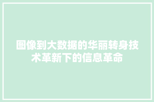 图像到大数据的华丽转身技术革新下的信息革命 编程语言