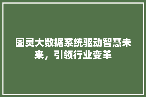 图灵大数据系统驱动智慧未来，引领行业变革 电脑基础