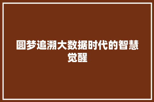 圆梦追溯大数据时代的智慧觉醒 编程语言