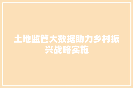 土地监管大数据助力乡村振兴战略实施 电脑基础