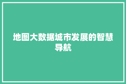 地图大数据城市发展的智慧导航 编程语言
