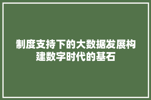 制度支持下的大数据发展构建数字时代的基石 电脑基础