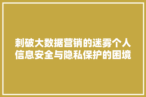 刺破大数据营销的迷雾个人信息安全与隐私保护的困境 电脑基础 刺破大数据营销的迷雾个人信息安全与隐私保护的困境 电脑基础