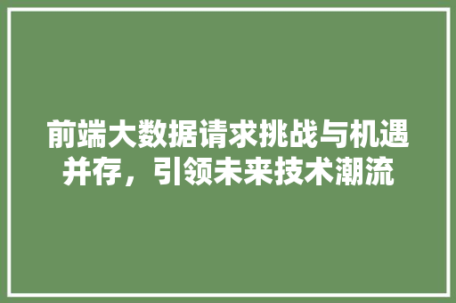 前端大数据请求挑战与机遇并存，引领未来技术潮流 电脑基础