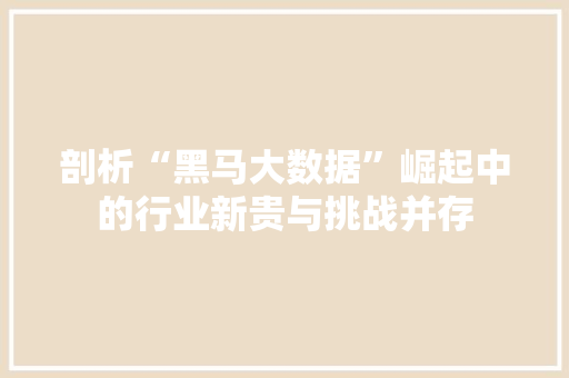剖析“黑马大数据”崛起中的行业新贵与挑战并存 电脑故障维修 剖析“黑马大数据”崛起中的行业新贵与挑战并存 电脑故障维修