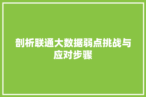 剖析联通大数据弱点挑战与应对步骤