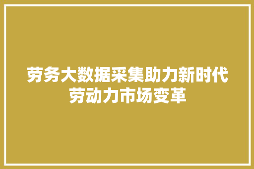 劳务大数据采集助力新时代劳动力市场变革 电脑配置
