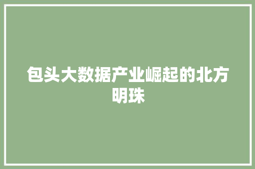 包头大数据产业崛起的北方明珠