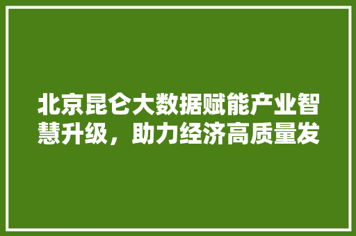 北京昆仑大数据赋能产业智慧升级，助力经济高质量发展 网络技术