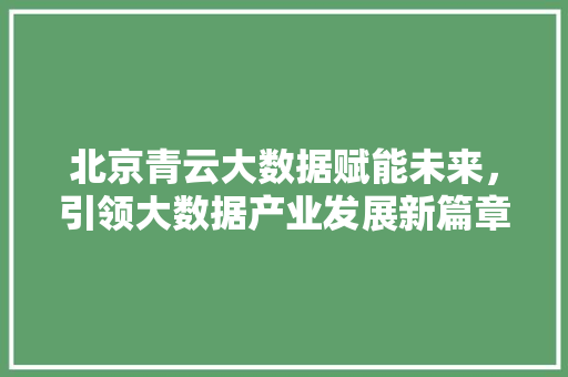 北京青云大数据赋能未来，引领大数据产业发展新篇章 电脑基础