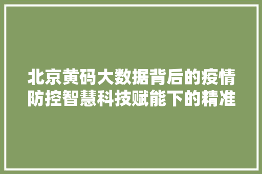 北京黄码大数据背后的疫情防控智慧科技赋能下的精准治理 电脑基础