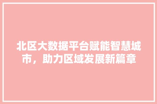 北区大数据平台赋能智慧城市，助力区域发展新篇章 网络技术