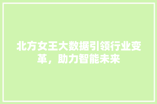 北方女王大数据引领行业变革,助力智能未来 电脑基础 北方女王大数据引领行业变革,助力智能未来 电脑基础