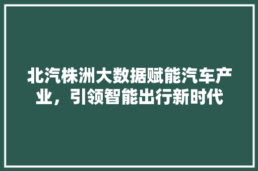 北汽株洲大数据赋能汽车产业，引领智能出行新时代 编程语言