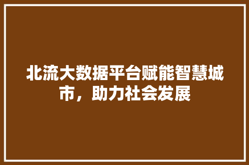 北流大数据平台赋能智慧城市，助力社会发展 操作系统