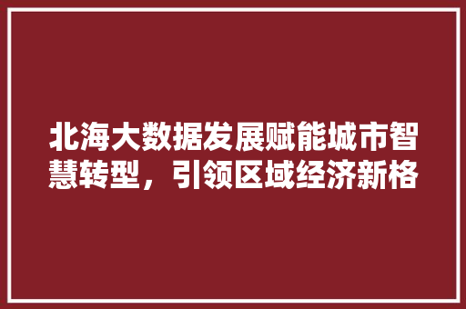北海大数据发展赋能城市智慧转型，引领区域经济新格局 编程语言