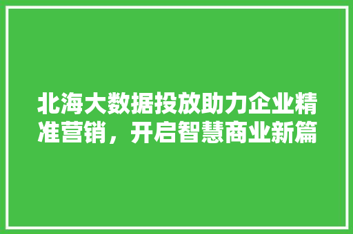 北海大数据投放助力企业精准营销，开启智慧商业新篇章 操作系统