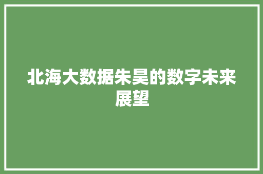 北海大数据朱昊的数字未来展望 操作系统