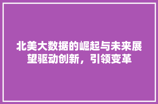 北美大数据的崛起与未来展望驱动创新，引领变革 编程语言