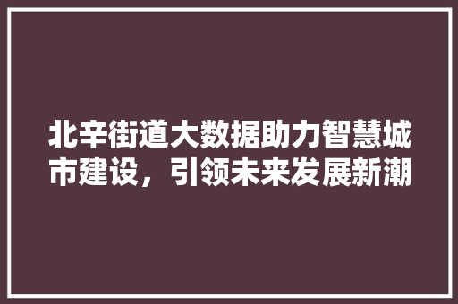 北辛街道大数据助力智慧城市建设，引领未来发展新潮流 编程语言