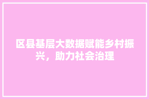 区县基层大数据赋能乡村振兴，助力社会治理 电脑基础