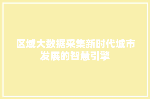 区域大数据采集新时代城市发展的智慧引擎