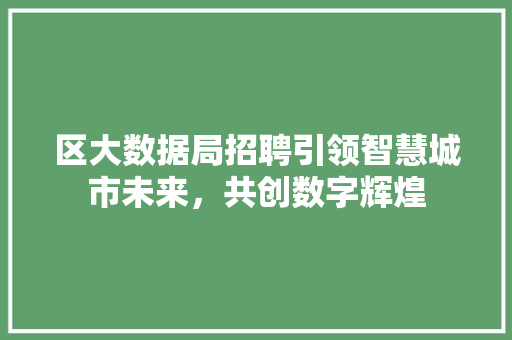 区大数据局招聘引领智慧城市未来，共创数字辉煌