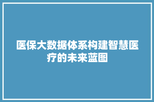 医保大数据体系构建智慧医疗的未来蓝图