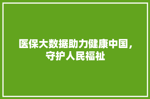 医保大数据助力健康中国，守护人民福祉