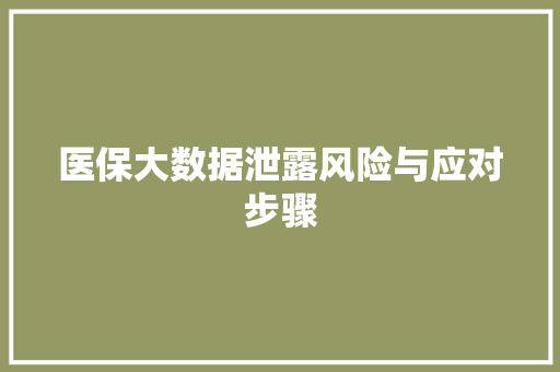 医保大数据泄露风险与应对步骤