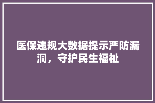 医保违规大数据提示严防漏洞，守护民生福祉 网络技术