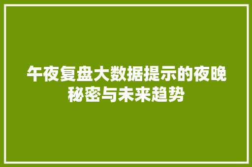午夜复盘大数据提示的夜晚秘密与未来趋势 电脑故障维修