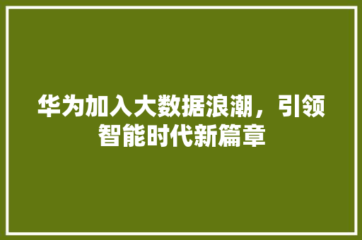 华为加入大数据浪潮，引领智能时代新篇章 电脑基础