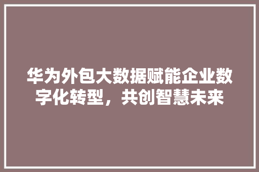 华为外包大数据赋能企业数字化转型，共创智慧未来 网络技术