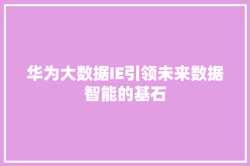 华为大数据IE引领未来数据智能的基石 电脑配置 华为大数据IE引领未来数据智能的基石 电脑配置