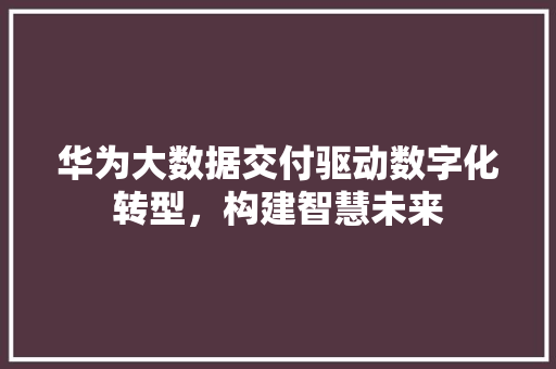 华为大数据交付驱动数字化转型，构建智慧未来 电脑故障维修