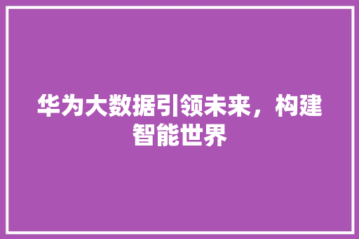 华为大数据引领未来，构建智能世界