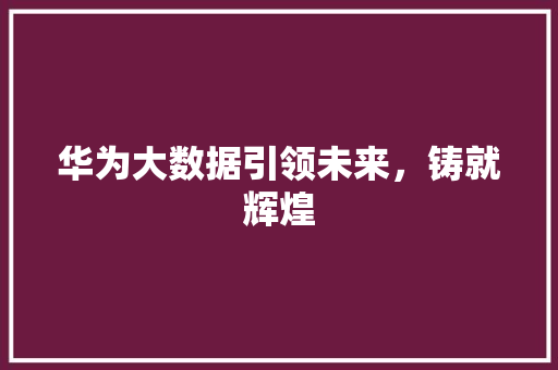 华为大数据引领未来,铸就辉煌 编程语言 华为大数据引领未来,铸就辉煌 编程语言