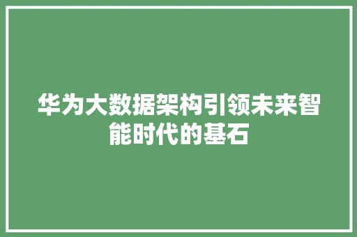 华为大数据架构引领未来智能时代的基石 电脑故障维修