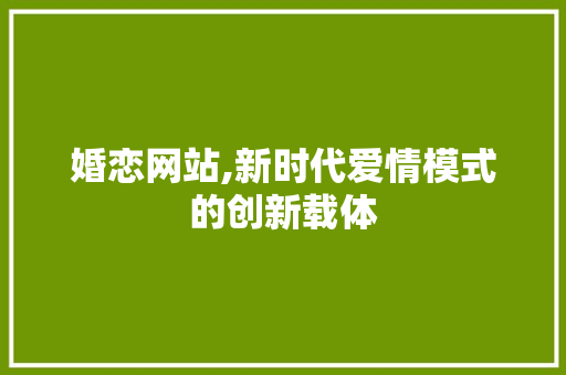 婚恋网站,新时代爱情模式的创新载体 婚恋网站,新时代爱情模式的创新载体 电脑配置