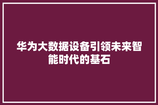 华为大数据设备引领未来智能时代的基石