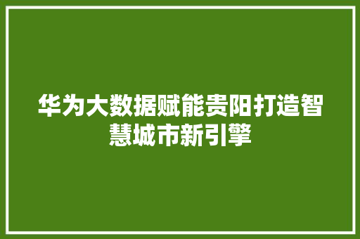 华为大数据赋能贵阳打造智慧城市新引擎