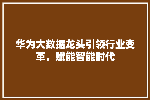 华为大数据龙头引领行业变革，赋能智能时代